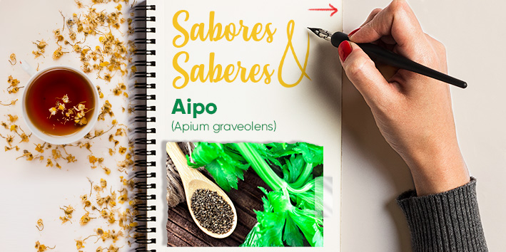 Sabores e saberes - Aipo 1